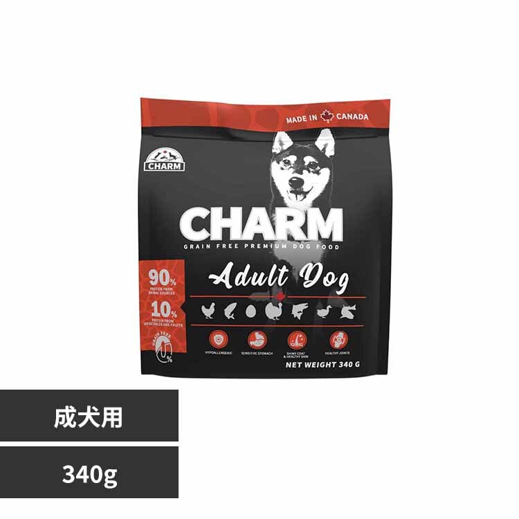 �`���[���@�A�_���g�h�b�O�@�R�S�OG 