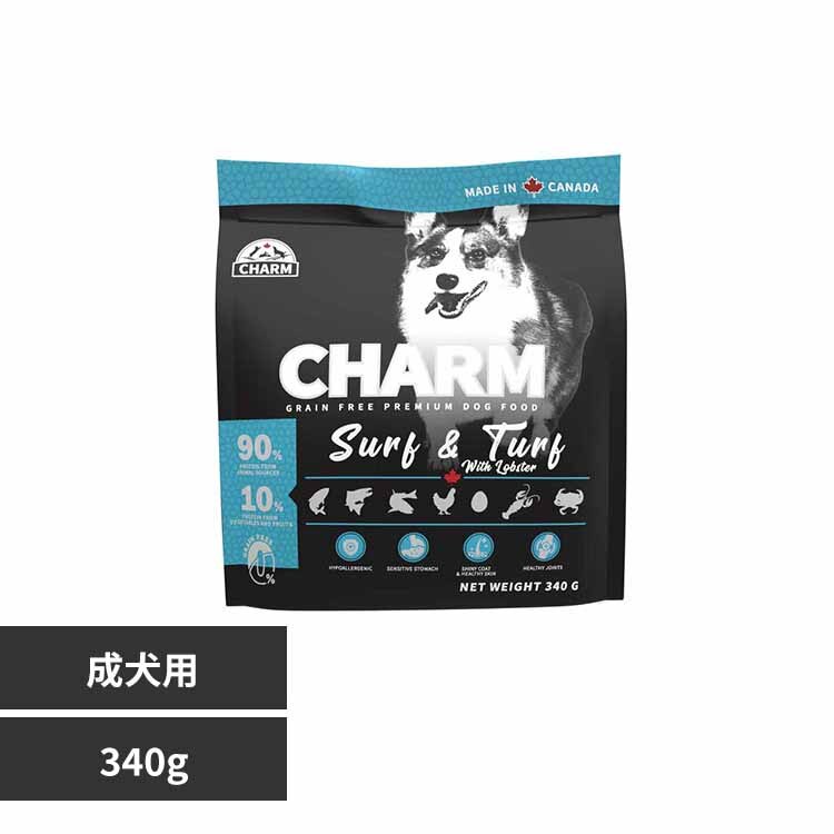 �`���[���@�T�[�t���^�[�t�h�b�O�@�R�S�OG 