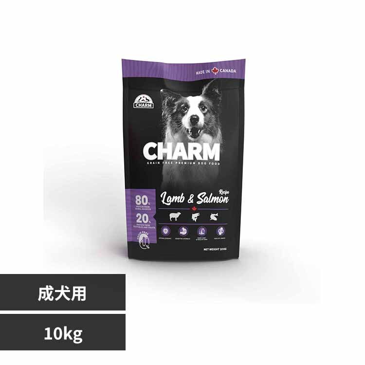 �`���[���@�������T�[�����h�b�O�@�P�O�jG 