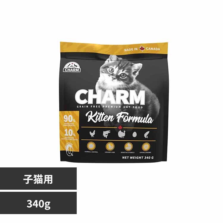 �`���[���@�L�g�D���@�R�S�OG 