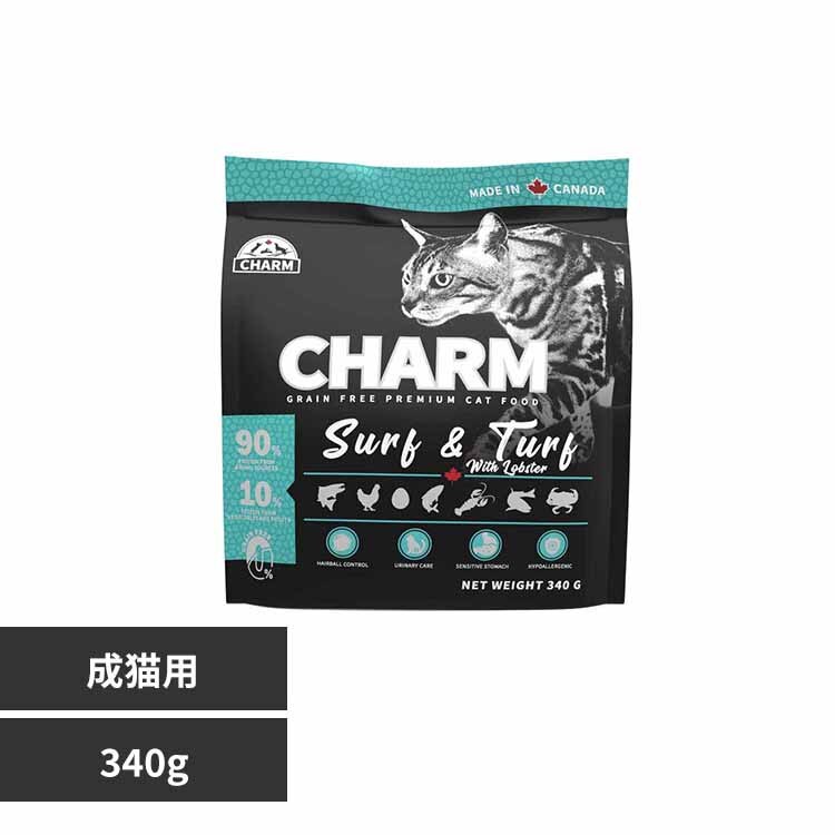 �`���[���@�T�[�t���^�[�t�L���b�g�@�R�S�OG 