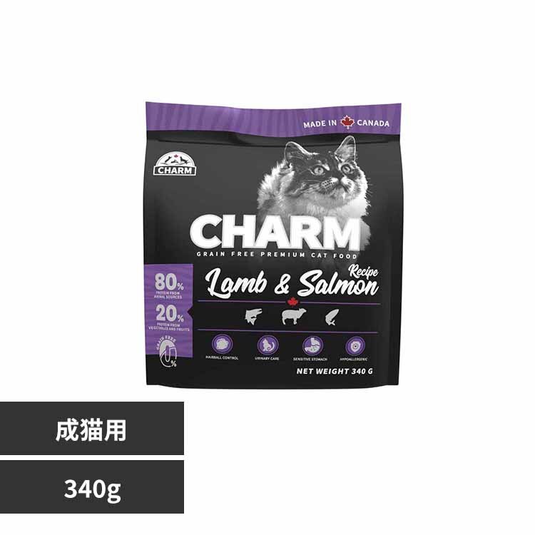 �`���[���@�������T�[�����L���b�g�@�R�S�OG 