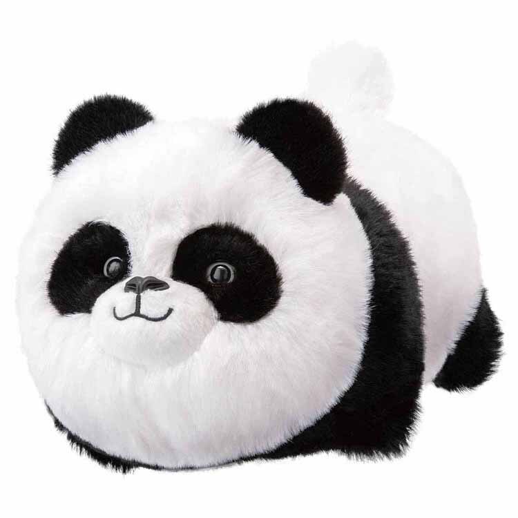 �A�K�c�} �p���_���݂́I�H