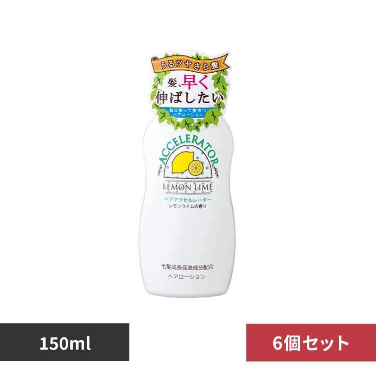 �y6�Z�b�g�z�w�A�A�N�Z�����[�^�[�@���������C���̍��� 