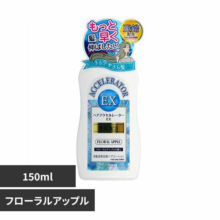 �w�A�A�N�Z�����[�^�[�d�w�@�t���[�����A�b�v���̍���