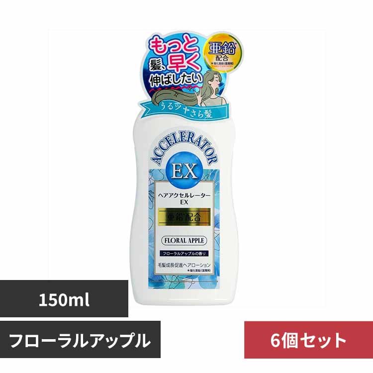 �y6�Z�b�g�z�w�A�A�N�Z�����[�^�[�d�w�@�t���[�����A�b�v���̍���