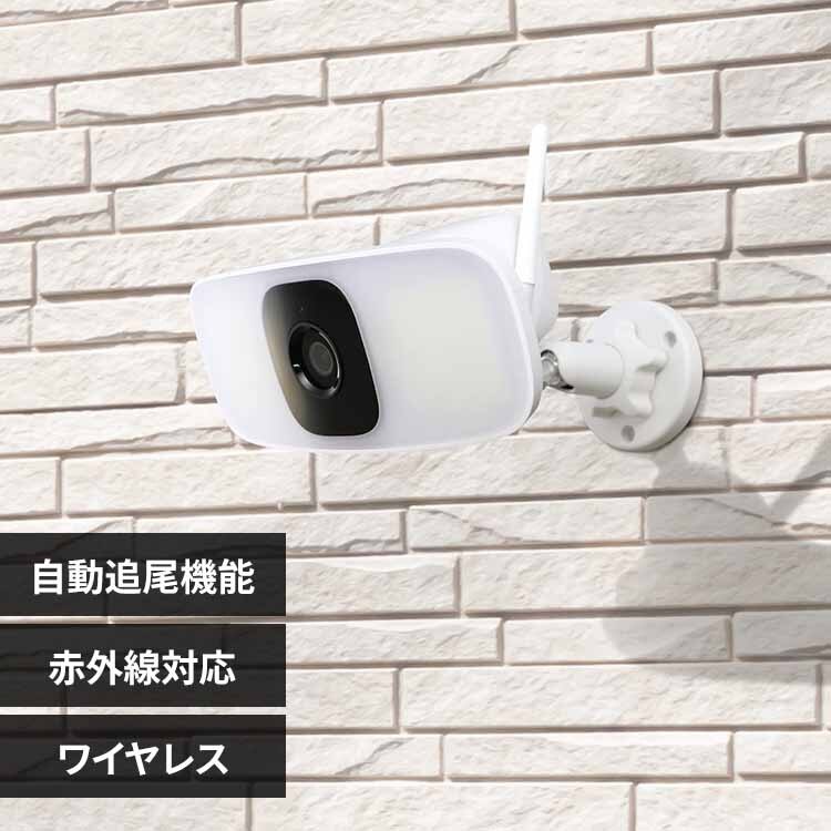 DX�A���e�i �ǂ��������C�����X�J���� CNW4CPF1 