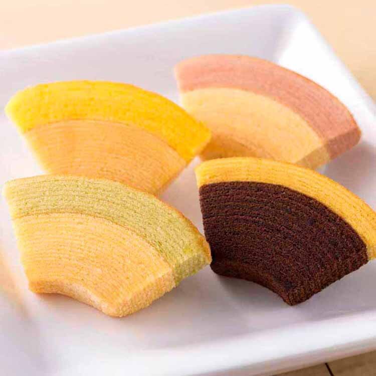 �y�����D���z ����t���[�c�N�[�w�� 16�� PGS-164�y�����z