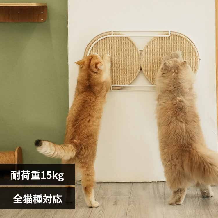 LOCUS �~�`�܌����{�[�h MZ0005 