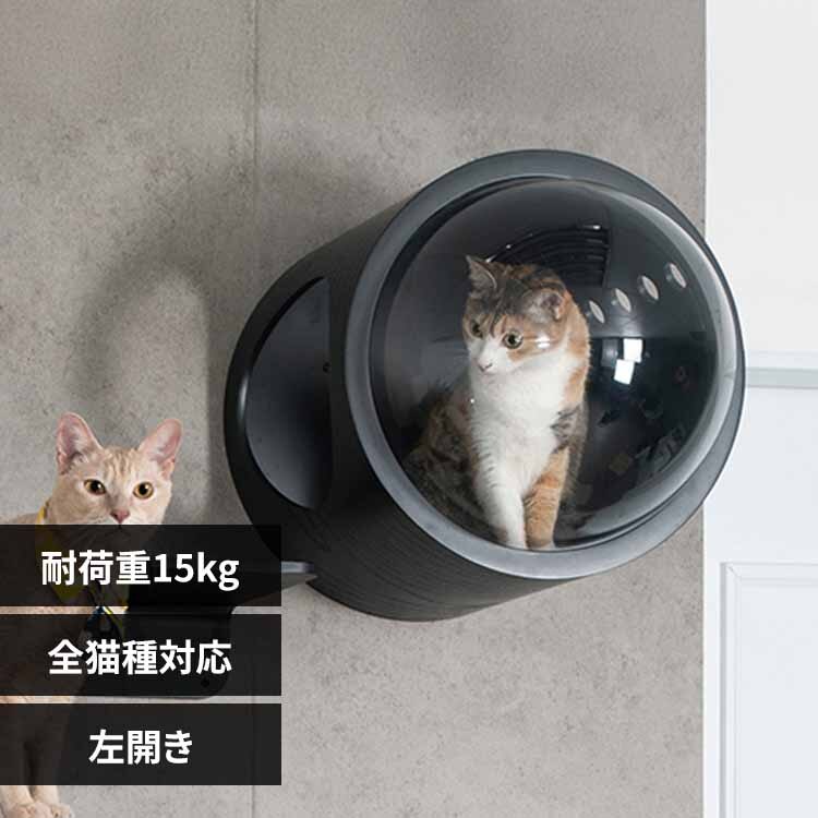 �F���DGAMMA MZ0006 �u���b�N�^������