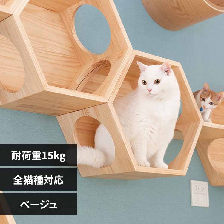 BUSYCAT�Z�p�n�E�X MZ0009 �x�[�W��