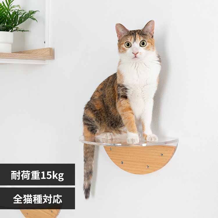 ROUNDLACK CLEAR MZ0020 