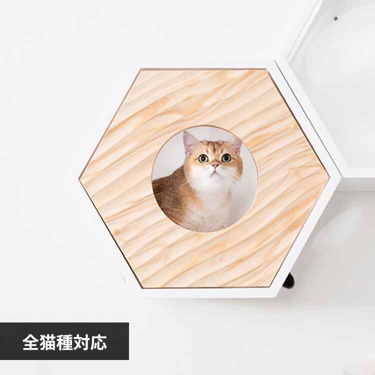 �Z�p�n�E�X�J�o�[(WAVE) MZ0021 