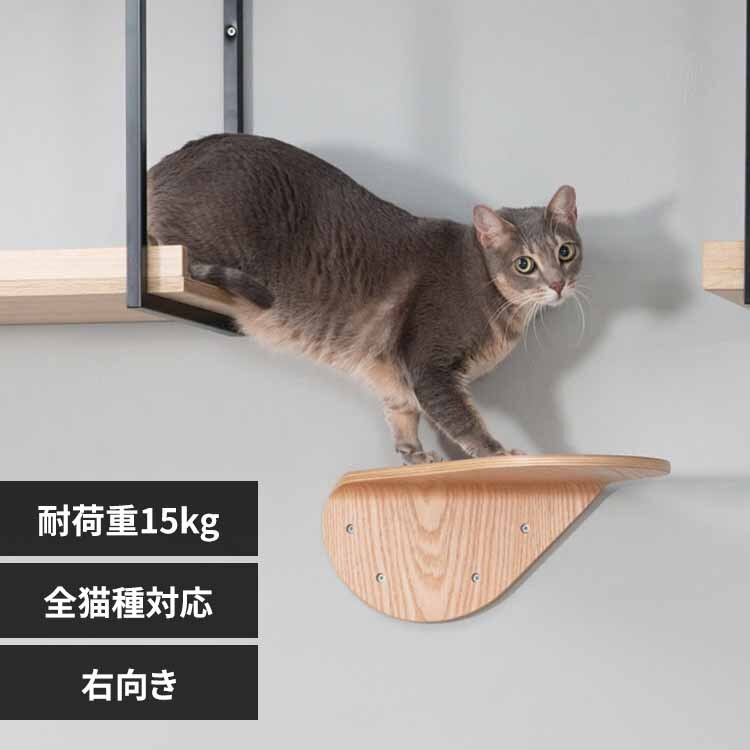 LACKTILT MZ0033 �E����