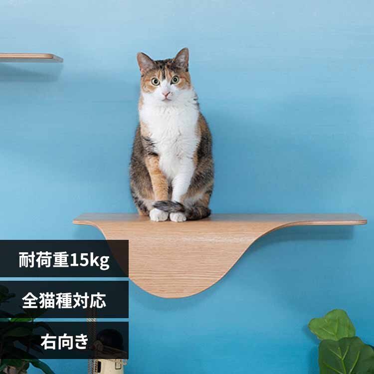 STINGRAY MZ0046 �E����