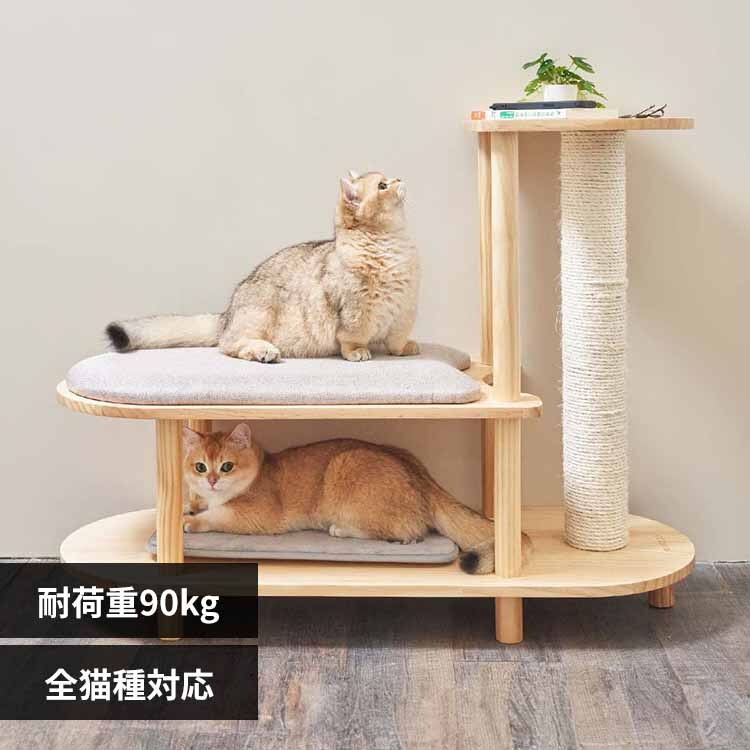 TRINEST�V���[�Y�X�c�[�� MZ0047 