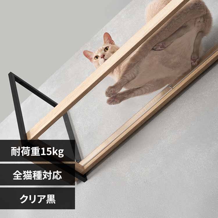 AVENUE MZ0053 �N���A��