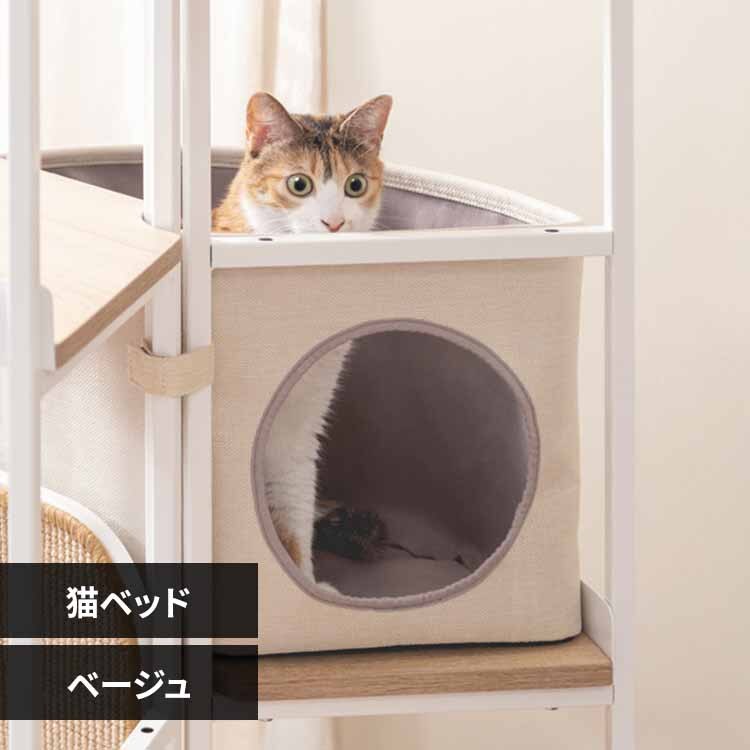 LOOPTOWER�L�x�b�h MZ0062 �x�[�W��