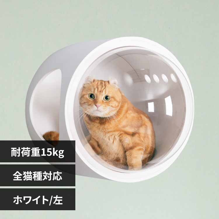 �F���DGAMMA MZ0073 �z���C�g�^���J��