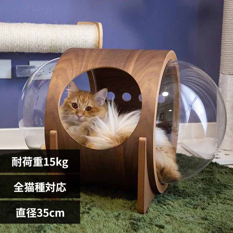 �F���DALPHA(�E�H�[���i�b�g) MZ0079 