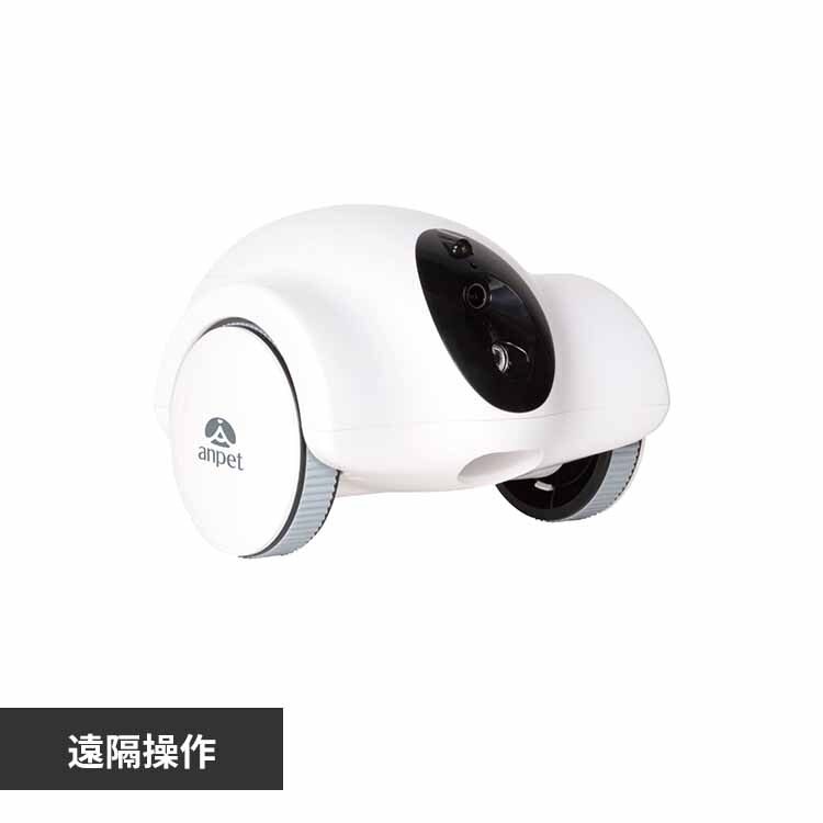 ���ɂ�񌩎��� ANP-W001 