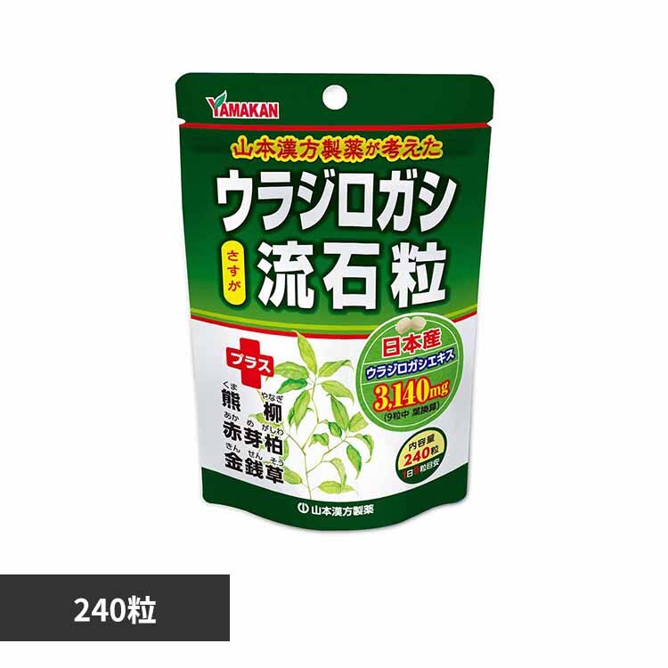 �R�{�������� �E���W���K�V���Η� 240�� 