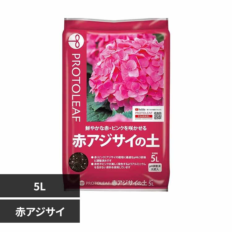 �v���g���[�t �A�W�T�C�̓y 5L �ԃA�W�T�C