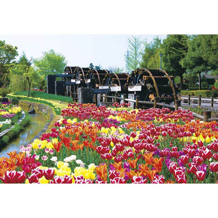 ��̂܂� �p�Y�� 108P �`���[���b�v �]�ԌO��i�x�R�j 01-2069 