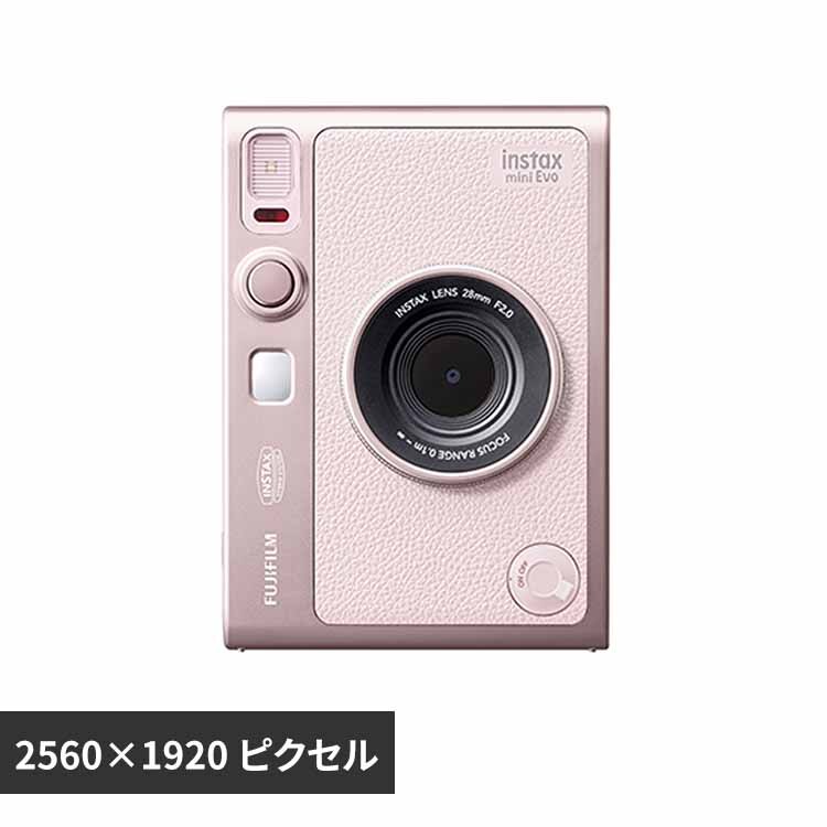 �x�m�t�C���� INS MINI EVO G PK C �s���N 16962303 