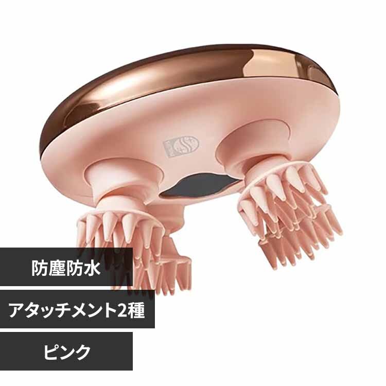 PHILIPS �~�j�w�b�h�P�A�u���V PPM1301PK �s���N