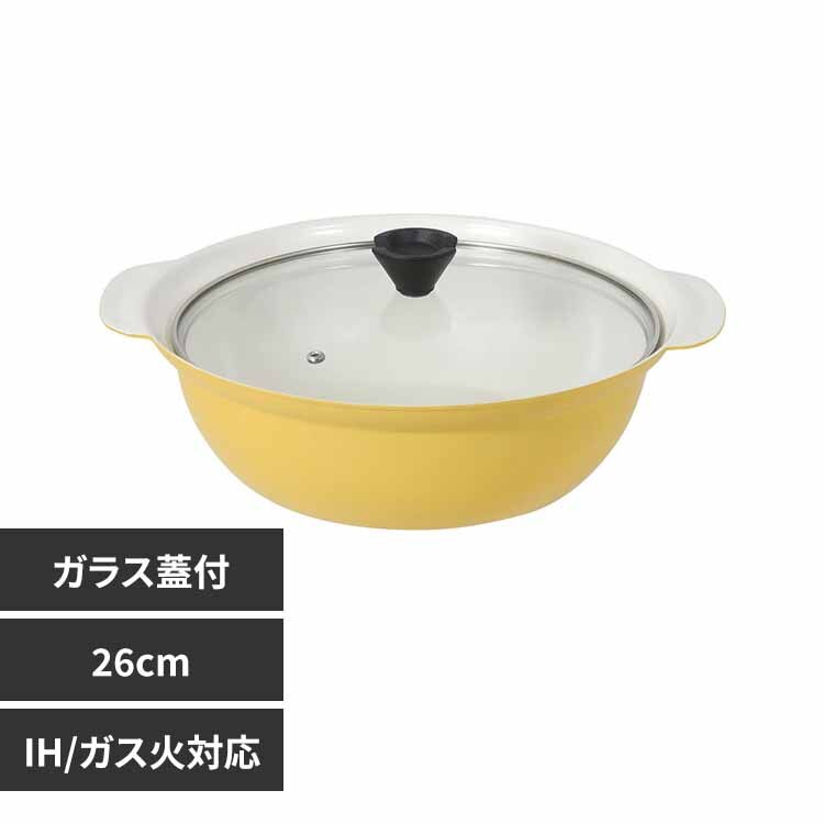 LIV PLUS �r�X�g���E�Z���~�b�N ���� 26cm �K���X�W�����ڎM�t �������C�G���[ NQ-0421 