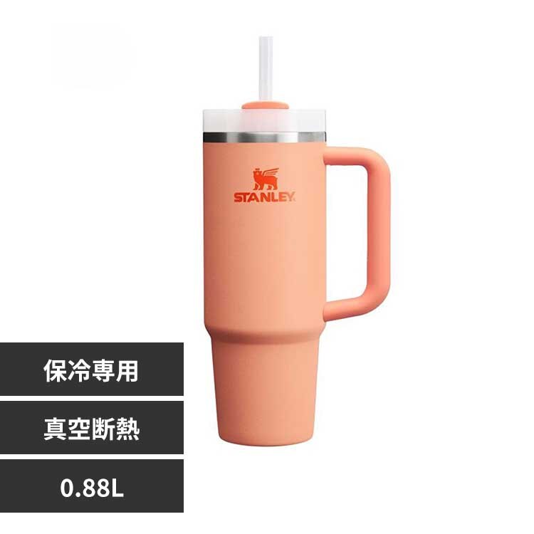 �X�^�����[ H2.0�^��X�����N�G���`���[0.88L �l�N�^����