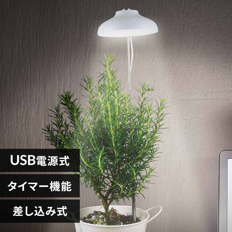 �A���琬���C�g �������ݎ� 250lm TT-YG01NA1A-W 