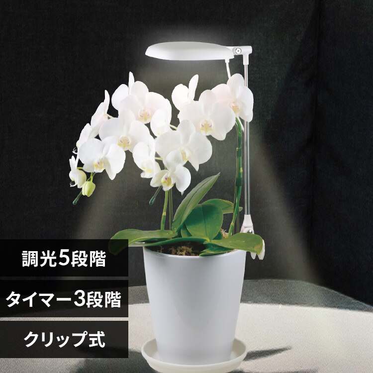 �A���琬���C�g �v�����^�[�N���b�v�� 270lm TT-YG02NA1A-W 