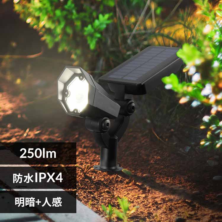 �\�[���[�K�[�f�����C�g 250lm LS-B250JGS-S 