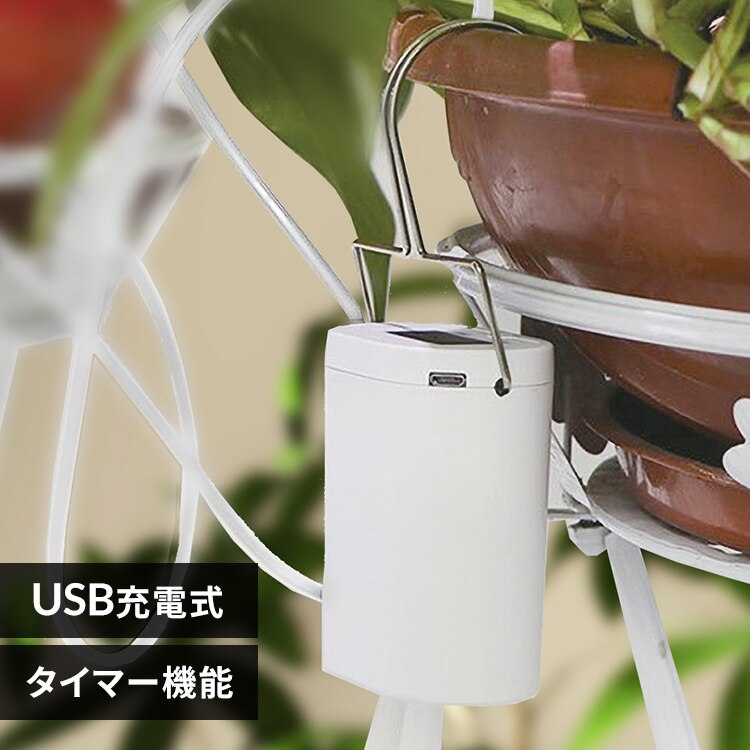 ���������@ SL-YG03WP2A 