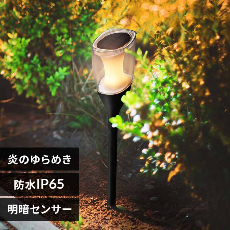 �K�[�f�����C�g�@�����߂� LT-SYL2FW 