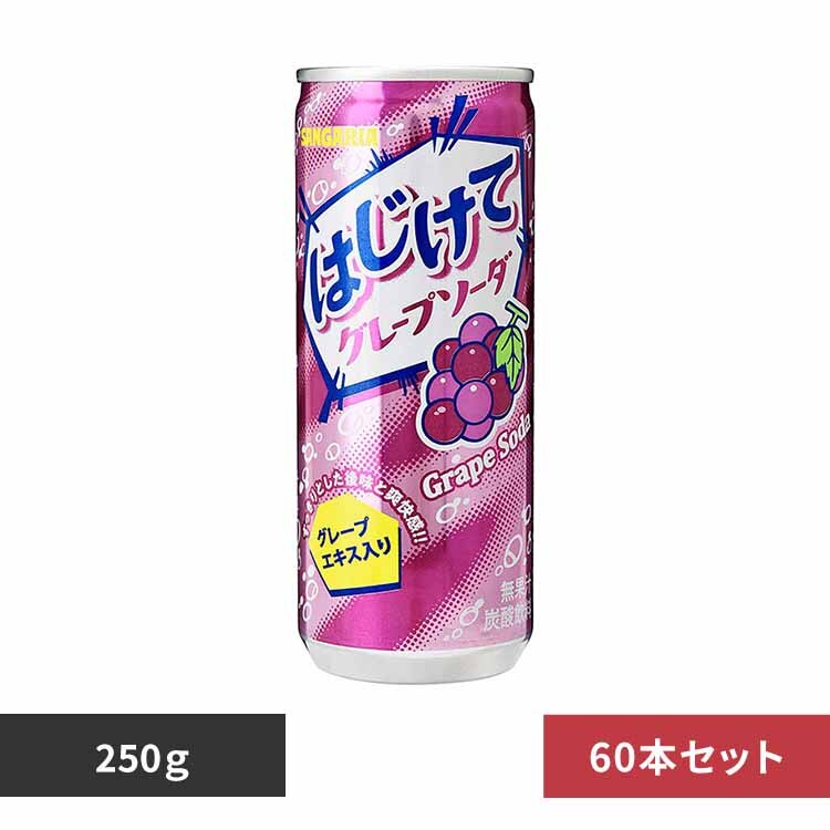 �y30�{�z�͂����ăO���[�v�\�[�_ 250g�~2�P�[�X 