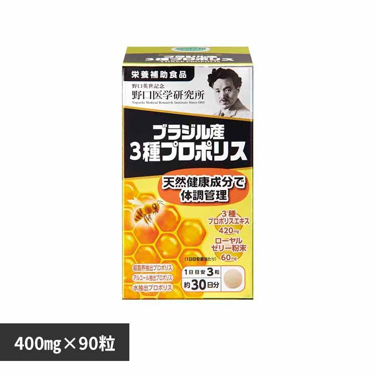�u���W���Y3��v���|���X90�s�i400mg�~90���j 