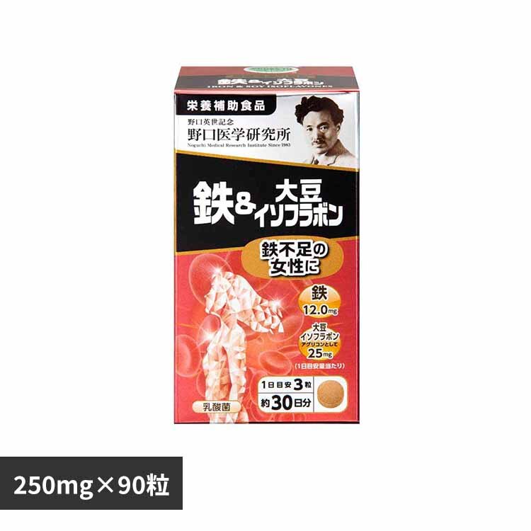 �S���哤�C�\�t���{��90�s�i250mg�~90���j 