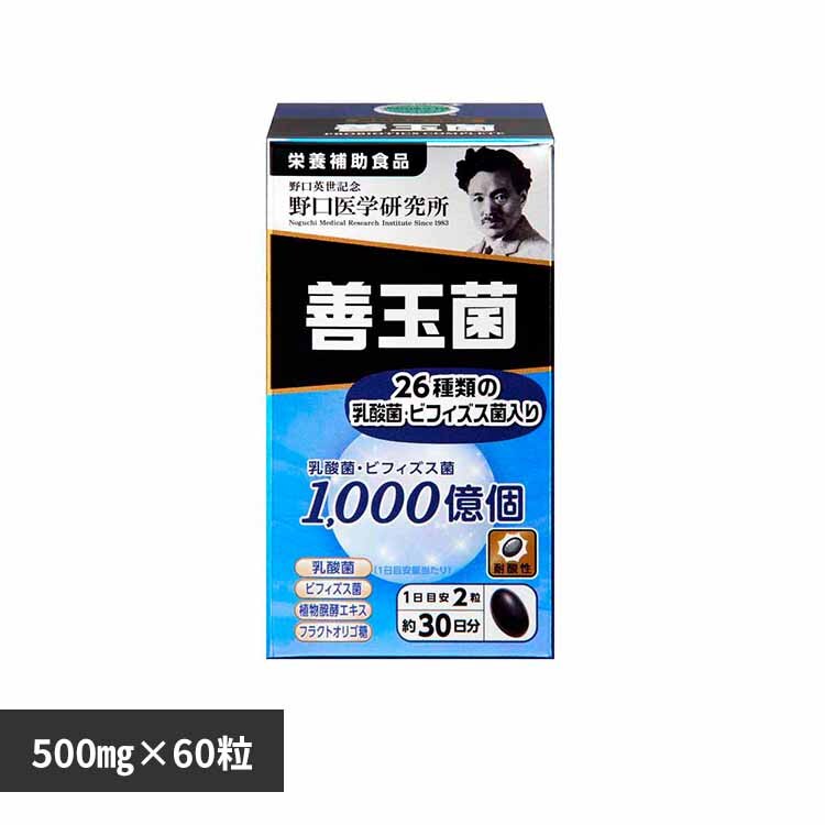 �P�ʋ�60�s�i500mg�~60���j 