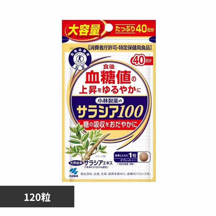 �T���V�A100 120�� 