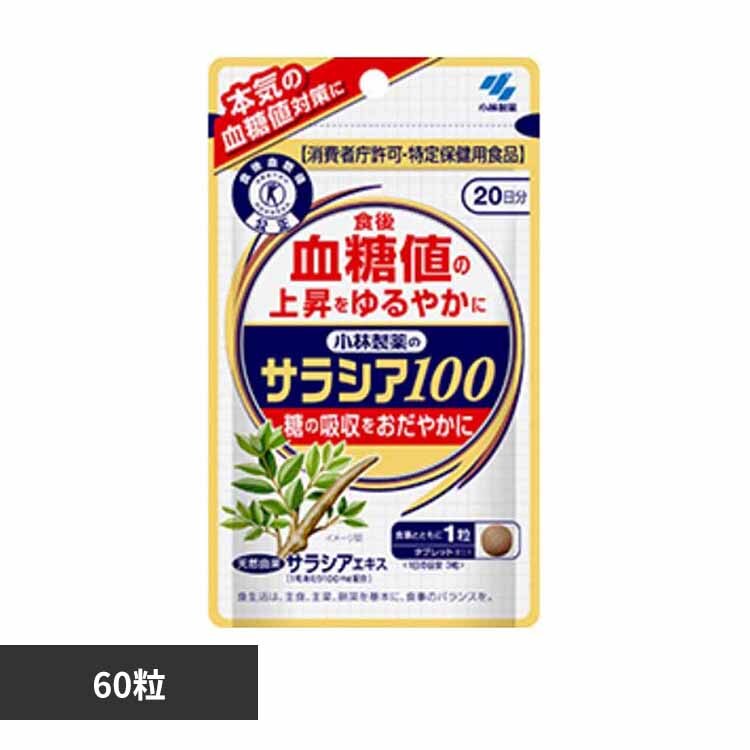 �T���V�A100 60�� 