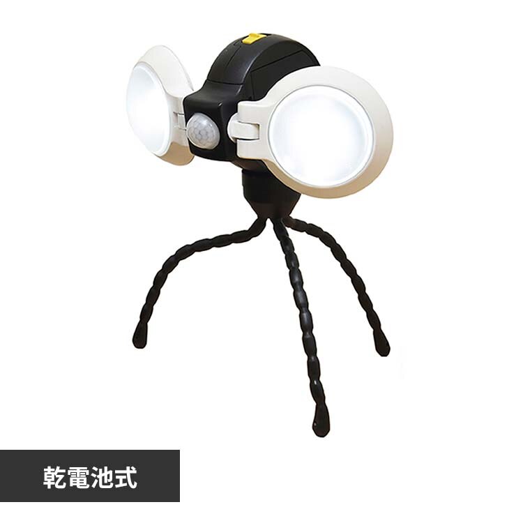 �ǂ��ł��Z���T�[���C�g�@�_�u���@���d�r�� �z���C�g ASL-092 