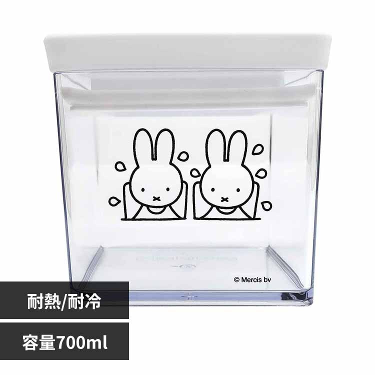 �����������p�b�L���t���L���j�X�^�[�@�r 