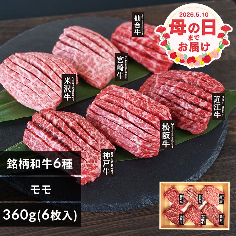 �� ���� �Ⓚ ������ �����a��6��X���b�g�~�j�X�e�[�L �ē� ��̓� 2026 �M�t�g �v���[���g �y���͂���5/8(��)�`5/10(��)�z�y�����w��s�z���y�\��z5����{���딭���\��y�����z