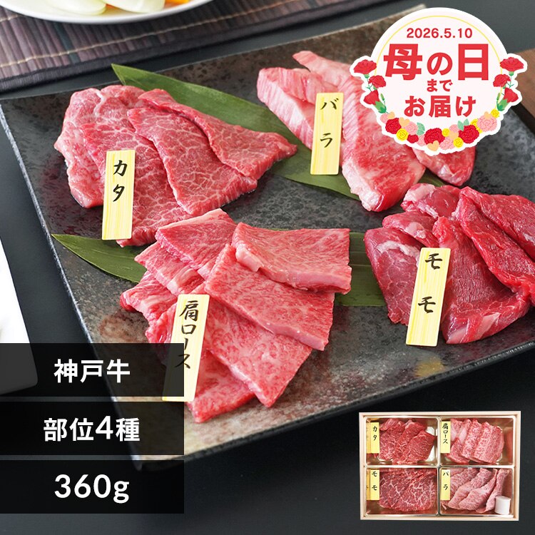 �� ���� �_�ˋ��ē�4�퐷  �ē� ��̓� 2026 �O���� �M�t�g �v���[���g ���j�� �y���͂���5/8(��)�`5/10(��)�z�y�����w��s�z���y�\��z5����{���딭���\��y�����z