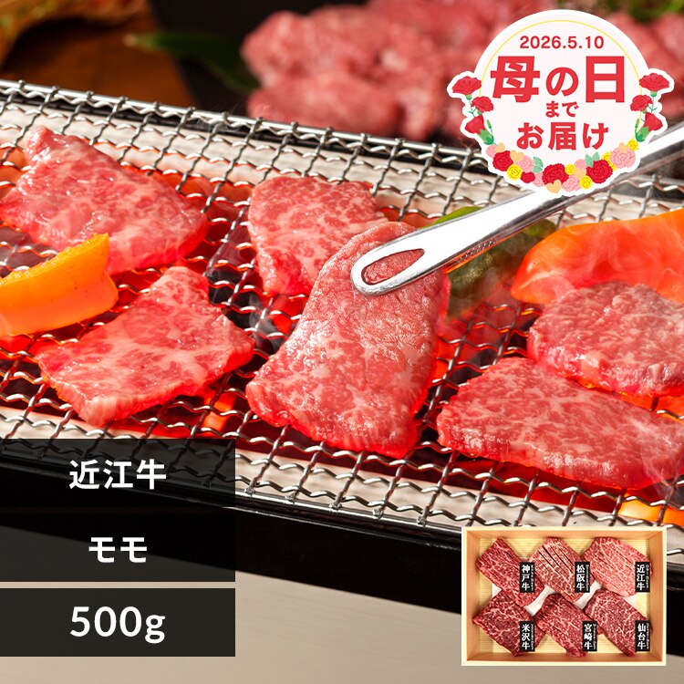 �� ���� �ߍ]�� �ē� �ߍ]���ē��p ��̓� 2026 �O���� �v���[���g ���j�� �y���͂���5/8(��)�`5/10(��)�z�y�����w��s�z���y�\��z5����{���딭���\��y�����z