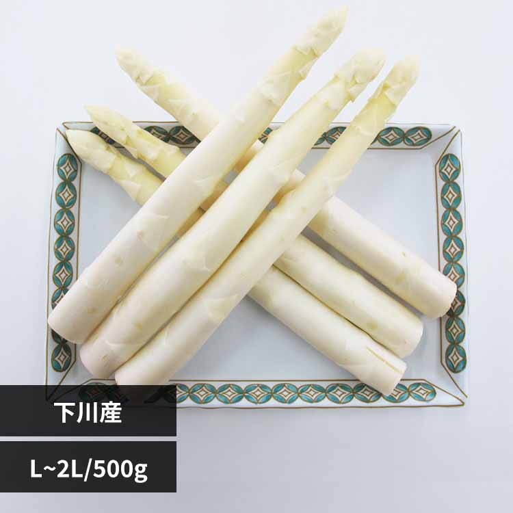 下川産ホワイトアスパラガス500g 【時間指定不可】【代引不可】【同梱不可】【直送】※【予約】5月中旬ごろ発送予定