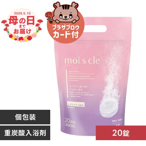 �y2026�N ��̓��z�d�Y�_������ ���C�X�N�� MCBT-20P 20�񕪁y���b�s���O�t���z���y�\��z5����{���딭���\��